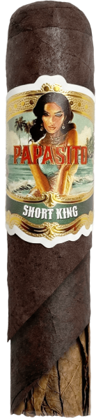 Papasito Short King bold maduro short gordo cigar